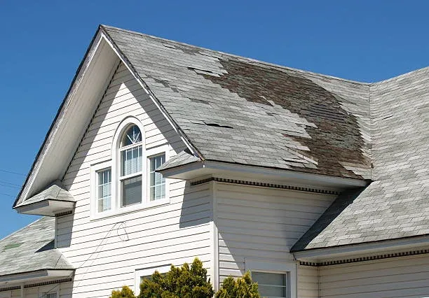 Roof Cleaning in Hamilton